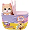 Bild von Moose Little Live Pets Mama Surprise Kitty