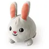 Bild von Pabobo Zitternder Hase