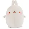 Bild von Nici Molang In Geschenkbox Teddy 16 Cm