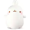 Bild von Nici Molang In Geschenkbox Teddy 24 Cm