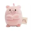 Bild von Nici Schwein Onk Auf Kopfkarte Teddybär 5 Cm