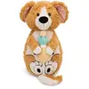 Bild von Nici Homies Teddybär 40x20cm