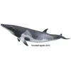 Bild von Collecta Zwergwal Minke Xl Figur