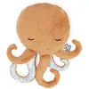 Bild von Kaloo Mittlerer Oktopus-plüsch