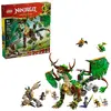 Bild von Lego Drache Des Lebens Aufbauspiel