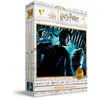 Bild von Sd Toys Harry Potter Und Der Halbblutprinz Poster Puzzle 100 Stücke